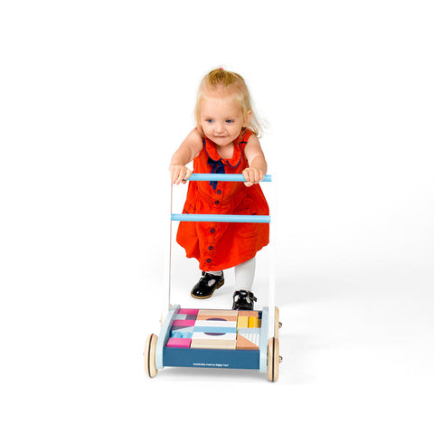 Baby Walker with Blocks