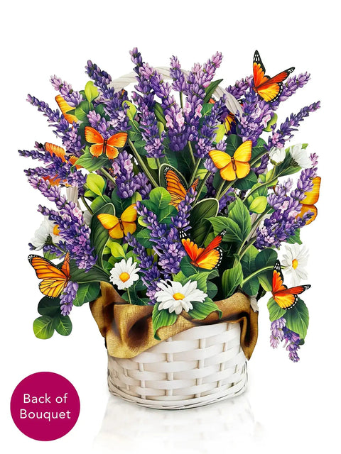 Lavender & Butterflies