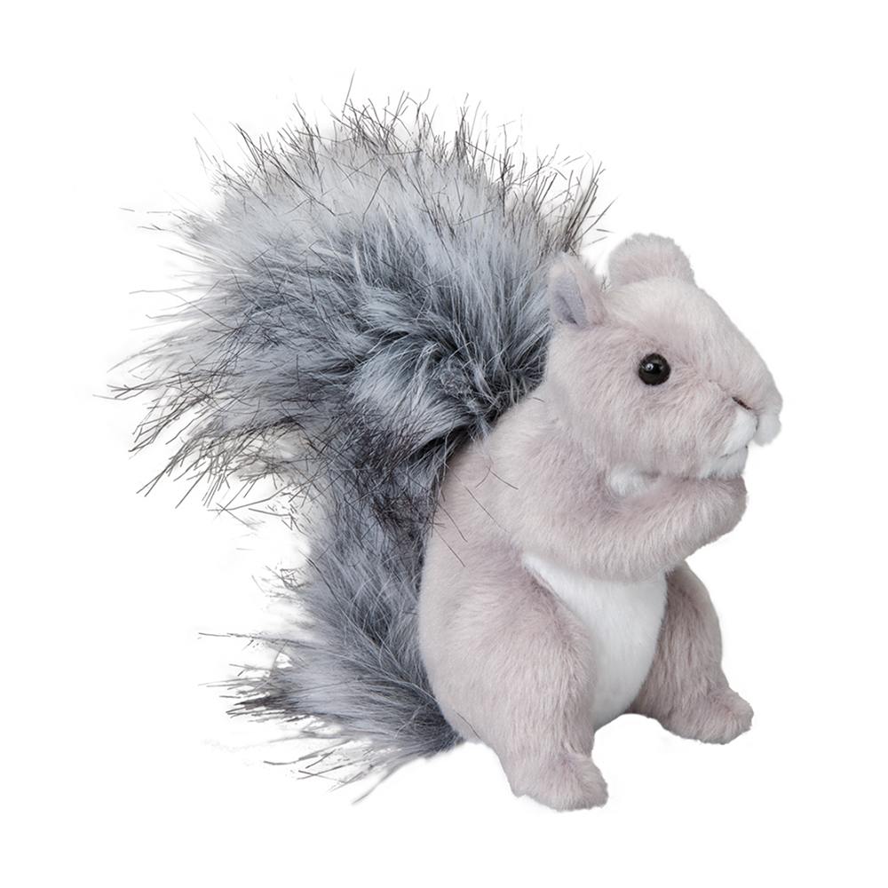 Shasta-Gray Squirrel