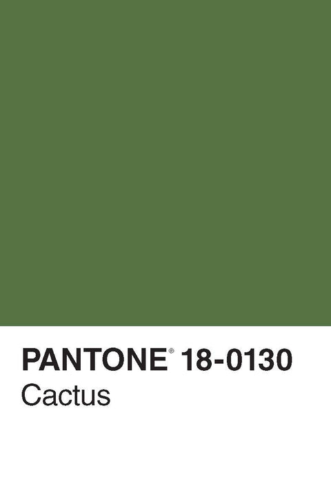 Pantone 50 Postcards