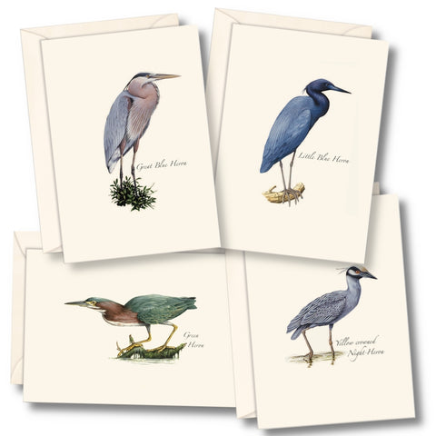 Heron Nature Notes