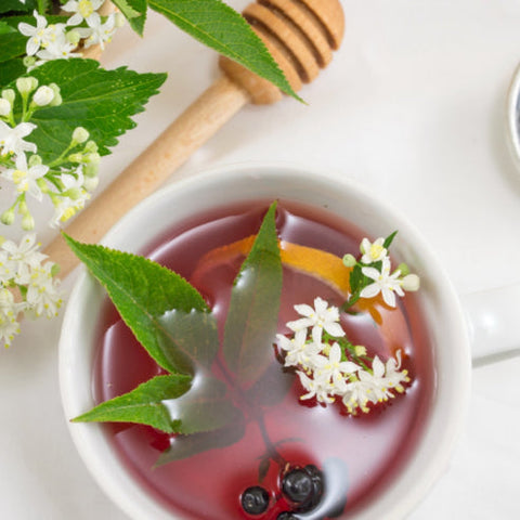 Elderberry Yaupon Tea Box
