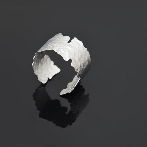 Nova bangle Silver