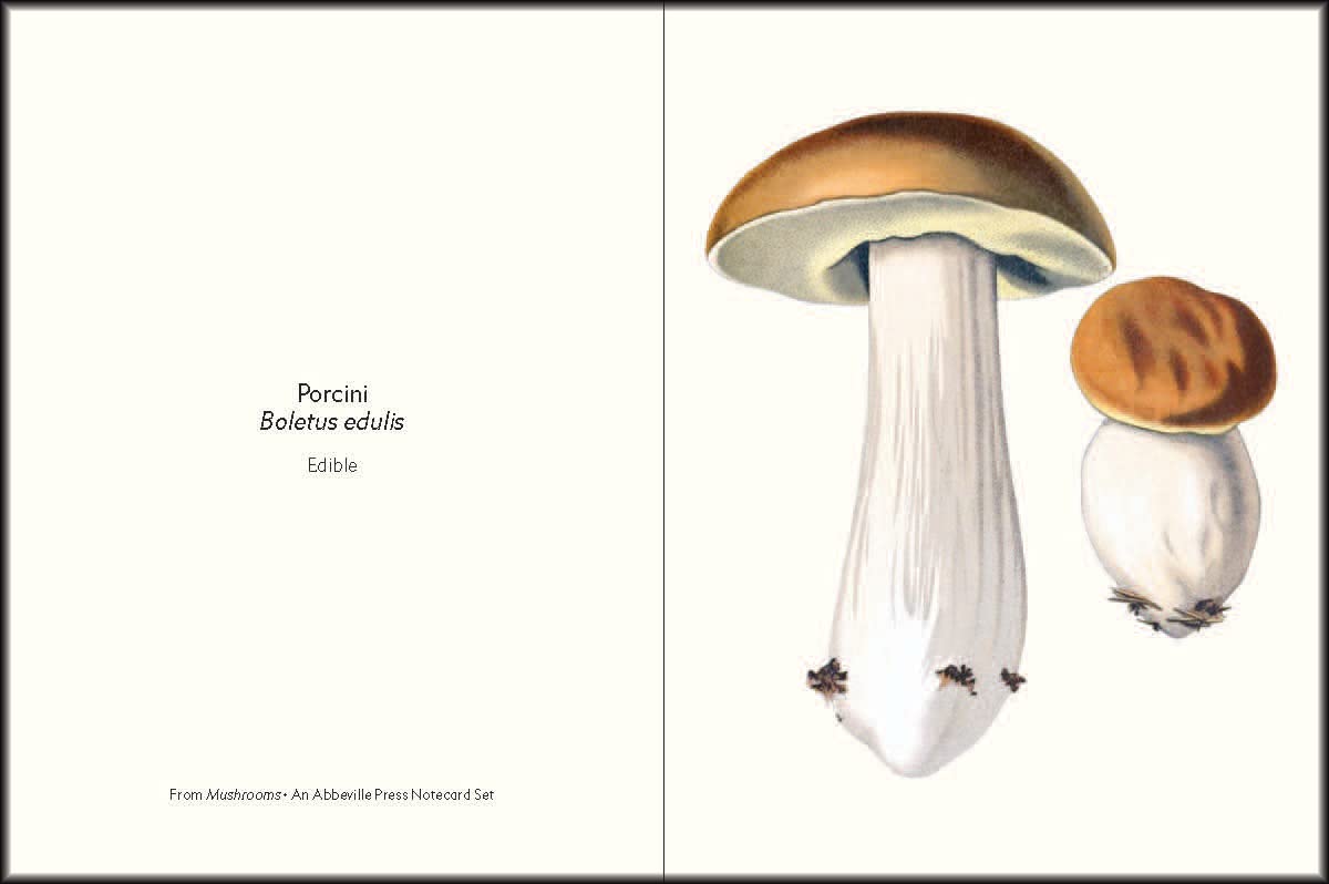 Mushroom Notecards