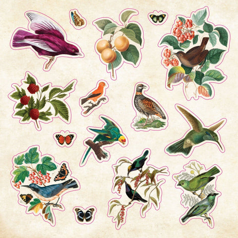Stickers of vintage-style bird and nature illustrations on a beige background