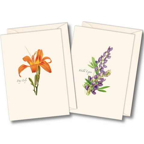 Wildflower Nature Notes