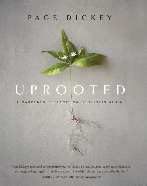 Uprooted: A Gardener Reflects on Beginning Again