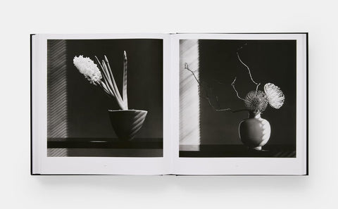 Mapplethorpe Flora