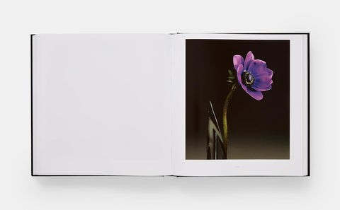 Mapplethorpe Flora