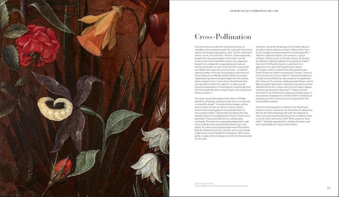 Forever Flowers: Mastery and Meaning of Flower Paintings in the Low Countries (1600-1700) - Mint Museum Store