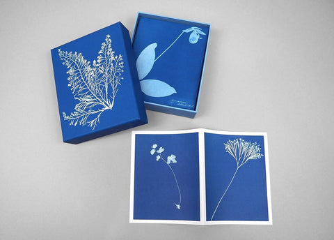 Sunprint Notecards