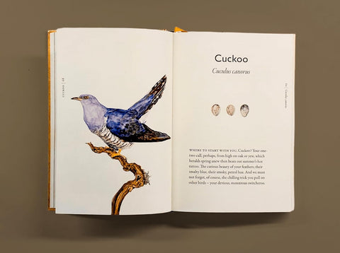 Book of Birds