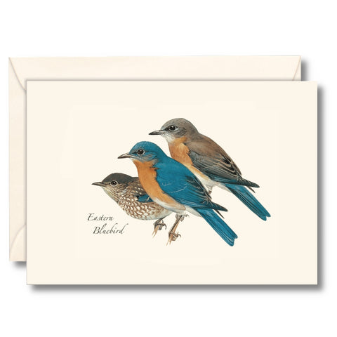 Eastern Bluebird Nature Notes