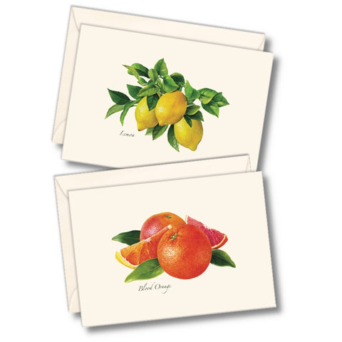 Citrus Nature Notes