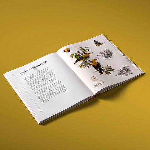 Bird, Nest & Egg: The Homes of Forty Extraordinary Species