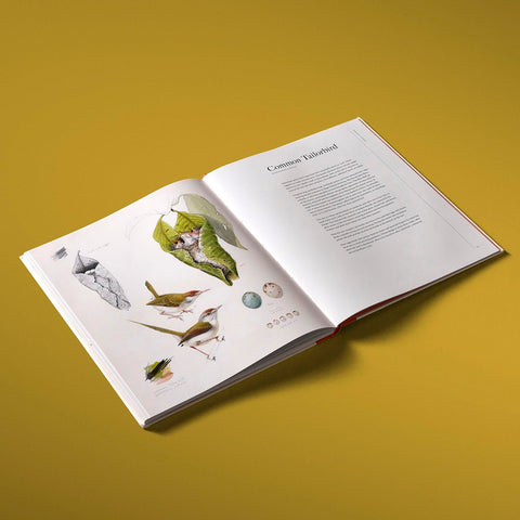 Bird, Nest & Egg: The Homes of Forty Extraordinary Species