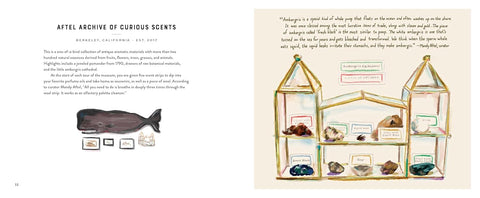 Footnotes From The Most Fascinating Museums