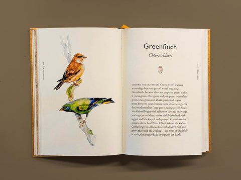 Book of Birds