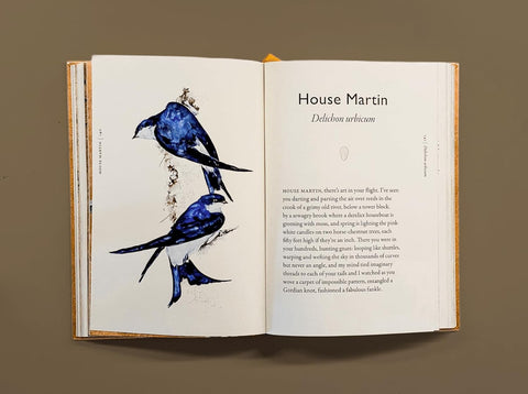 Book of Birds