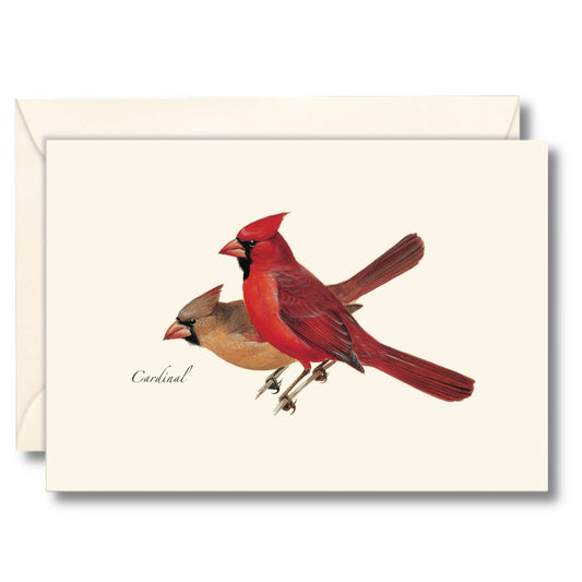 Cardinal Nature Notes