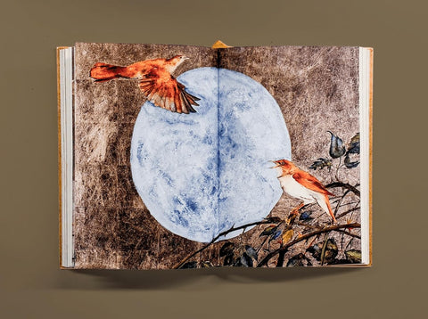 Book of Birds