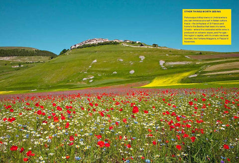 Wildflower Travel Book