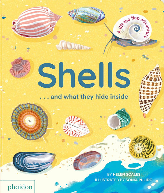 Shells...and what they hide inside: A Lift-the-Flap Adventure
