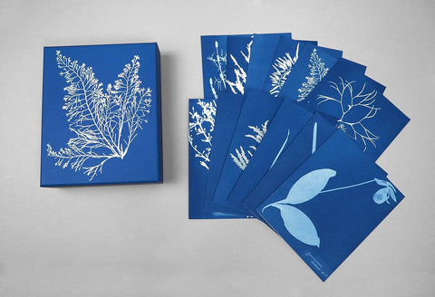 Sunprint Notecards