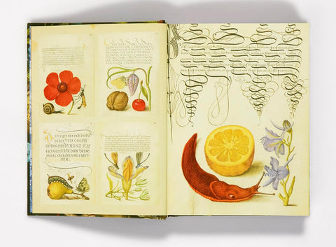The Esoterica Sticker Book: From Astrology to Tarot