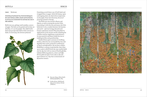 Book open to a page with botanical illustration and forest scene