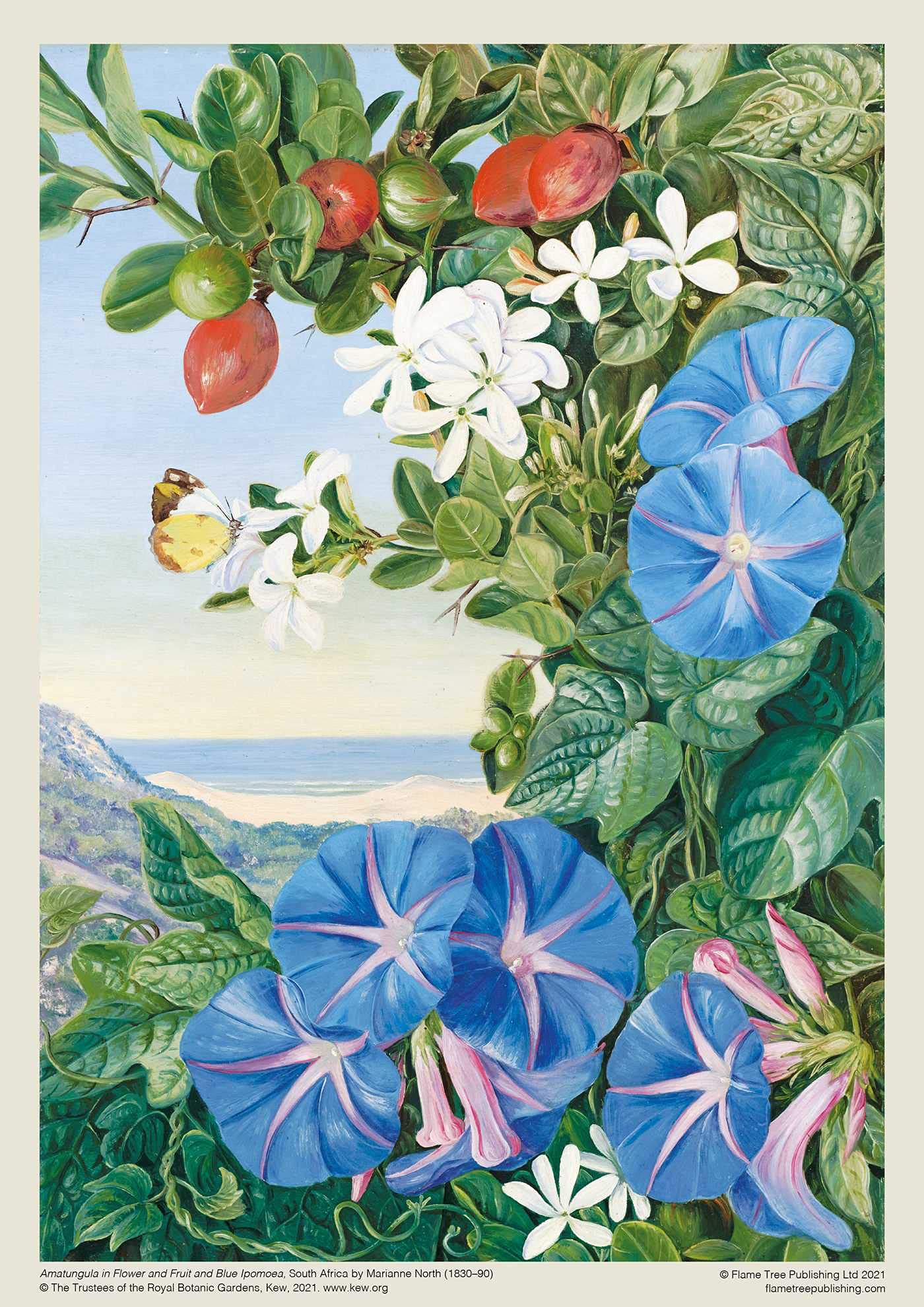 Adult Jigsaw Puzzle Kew: Marianne North: Amatungula and Blue Ipomoea, South Africa