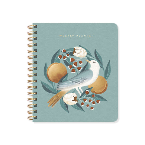 Blue Bird Weekly