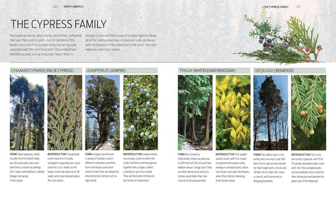 Trees of the World