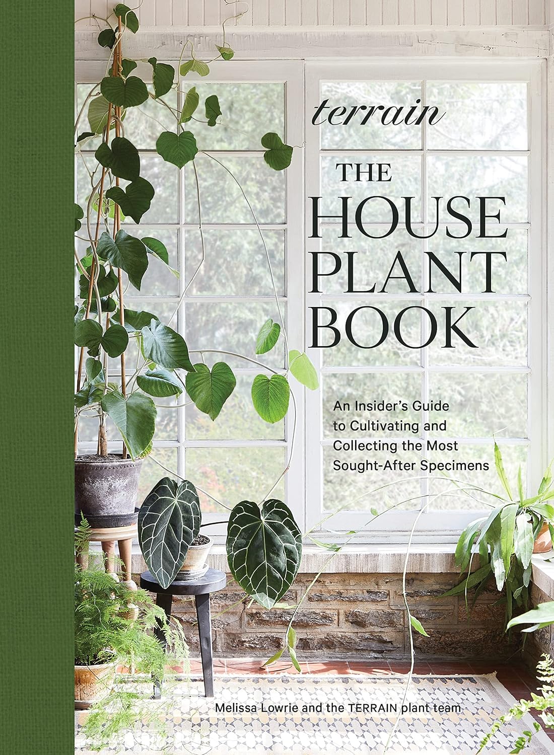 Terrain: The Houseplant