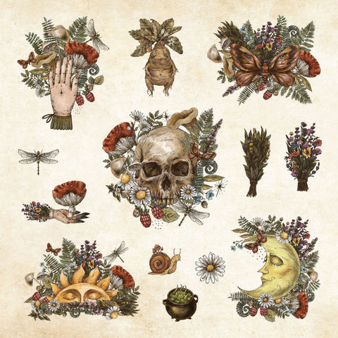 Stickers of a skull, flowers, and other natural elements on a beige background