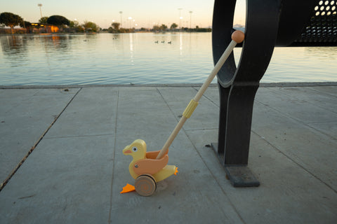 Push Toy Duck