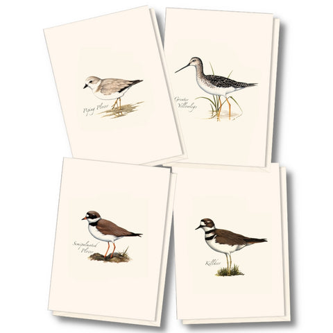 Shorebird Nature Notes