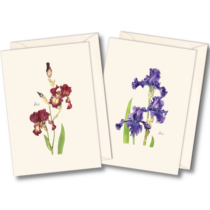 Iris Nature Notes