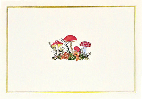 Illustration of mushrooms on a white background with a gold border