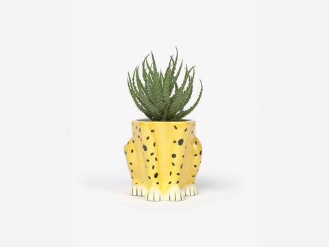 Cheetah Planter