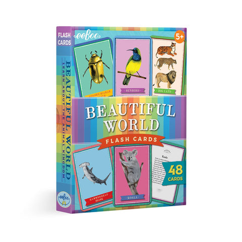 Beautiful World Flashcards