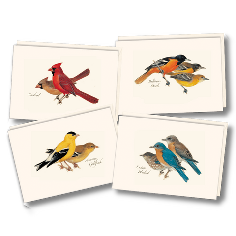 Peterson Bird Assortment Nature Notes