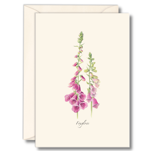 Foxglove Nature Notes