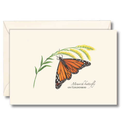 Monarch Butterfly on Goldenrod Nature Notes