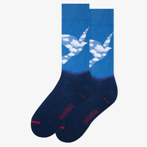 Sky Bird Socks