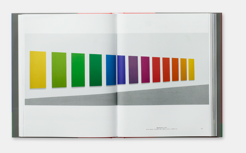 Ellsworth Kelly (Hachette)