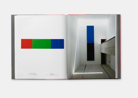 Ellsworth Kelly (Hachette)