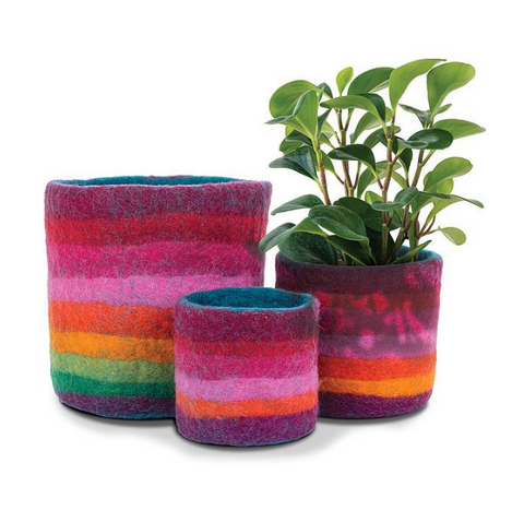Set of colorful felted planters with a plant on a white background