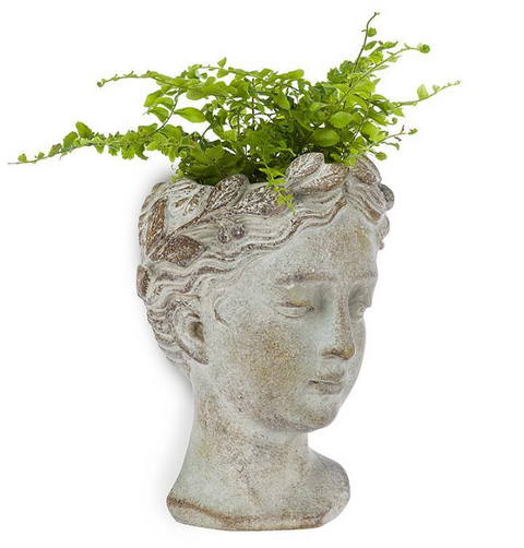 Decorative planter shaped like a face with greenery on a white background