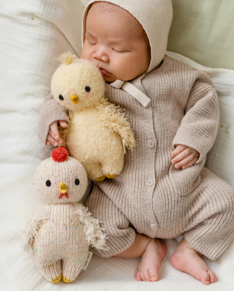 Baby chicken